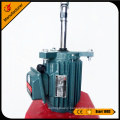 Y2 series three-phase induction electric motor